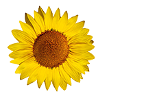 Kate Morris Celebrant  Logo